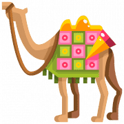Desert Safari Tours